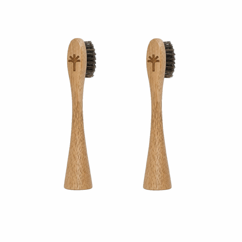 Horse Hair Bristle Bamboo Replacement Toothbrush Heads 2 Pack | Toxin Rebellion