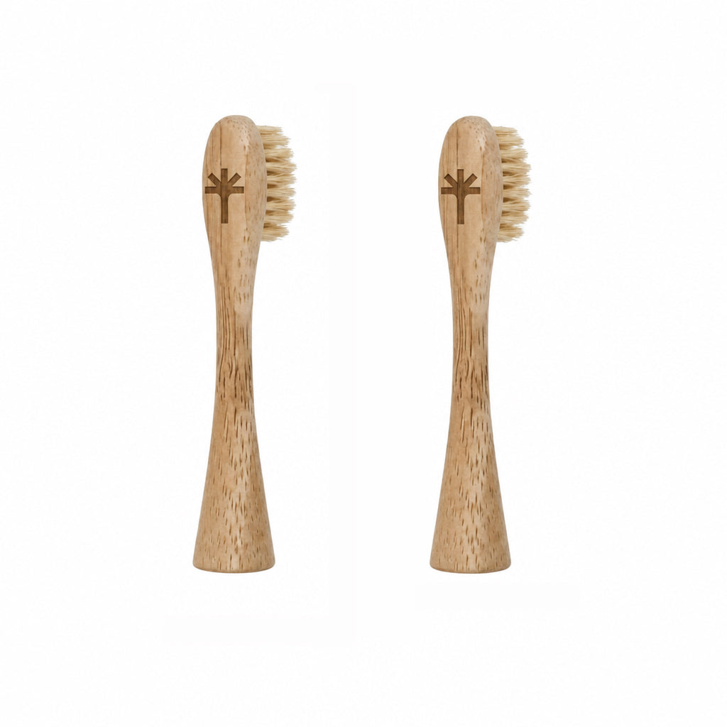 Boar Hair Bristle Bamboo Replacement Toothbrush Heads 2 Pack | Toxin Rebellion