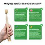 Kids Bamboo Toothbrush with Natural Boar Hair Bristles | Toxin Rebellion