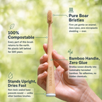 Boar Bristle Bamboo Toothbrush