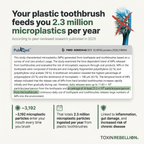 Boar Bristle Bamboo Toothbrush