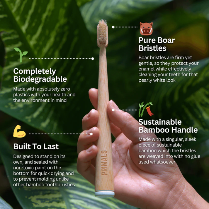 Boar Bristle Bamboo Toothbrush
