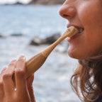 Electric Bamboo Toothbrush with Natural Boar Hair Bristles | Toxin Rebellion